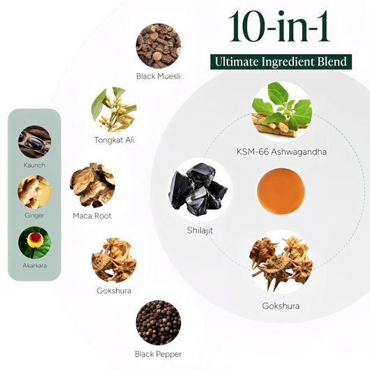Shilajit Gummies